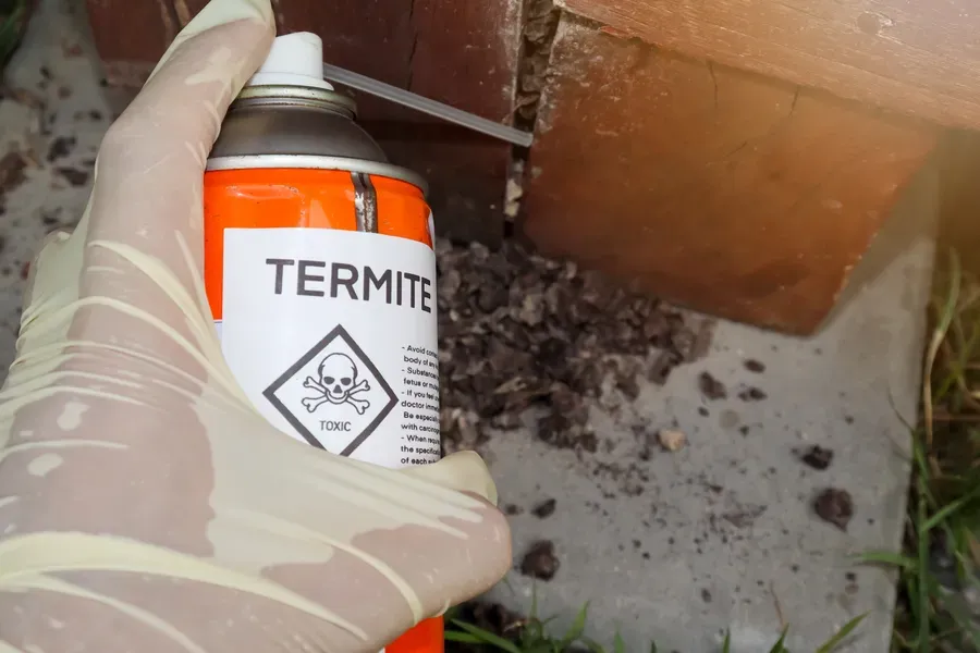 Importance Of Regular Termite Inspections For Homeowners Sorrento, FL Importance Of Regular Termite Inspections For Homeowners Sorrento, FL