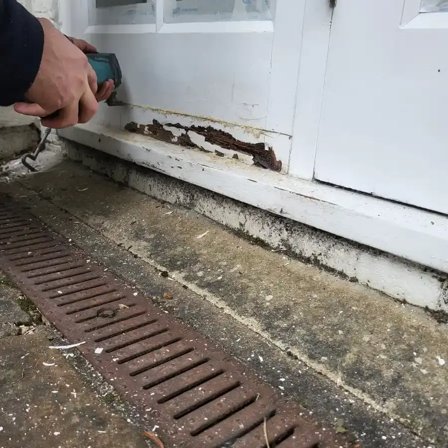 Importance Of Regular Termite Inspections For Homeowners in Sorrento, FL Importance Of Regular Termite Inspections For Homeowners in Sorrento, FL