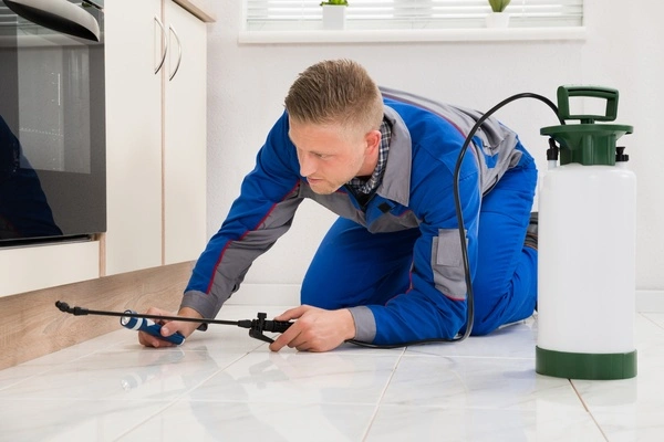 Professional pest exterminator in Sorrento, FL Professional pest exterminator in Sorrento, FL