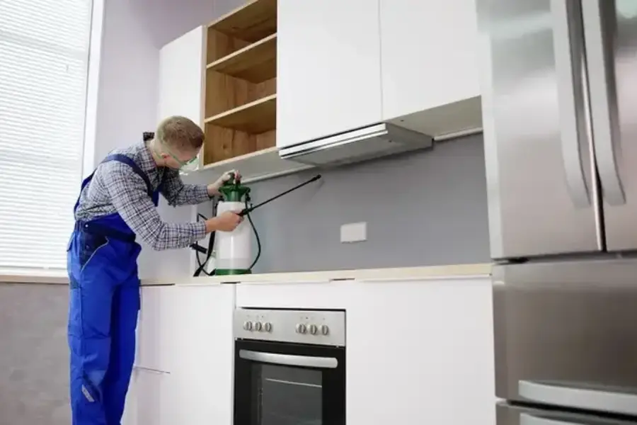 Protecting Gardens And Plants From Destructive Ants in Sorrento, FL